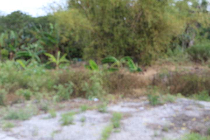351 Canal Street - Photo 1