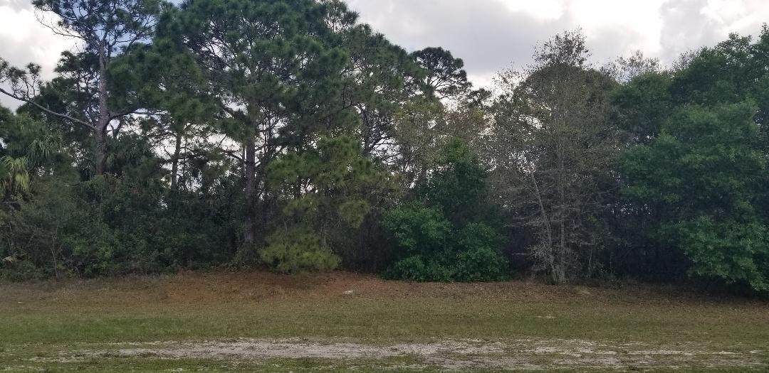 3313/3337 Port St Lucie Boulevard - Photo 1