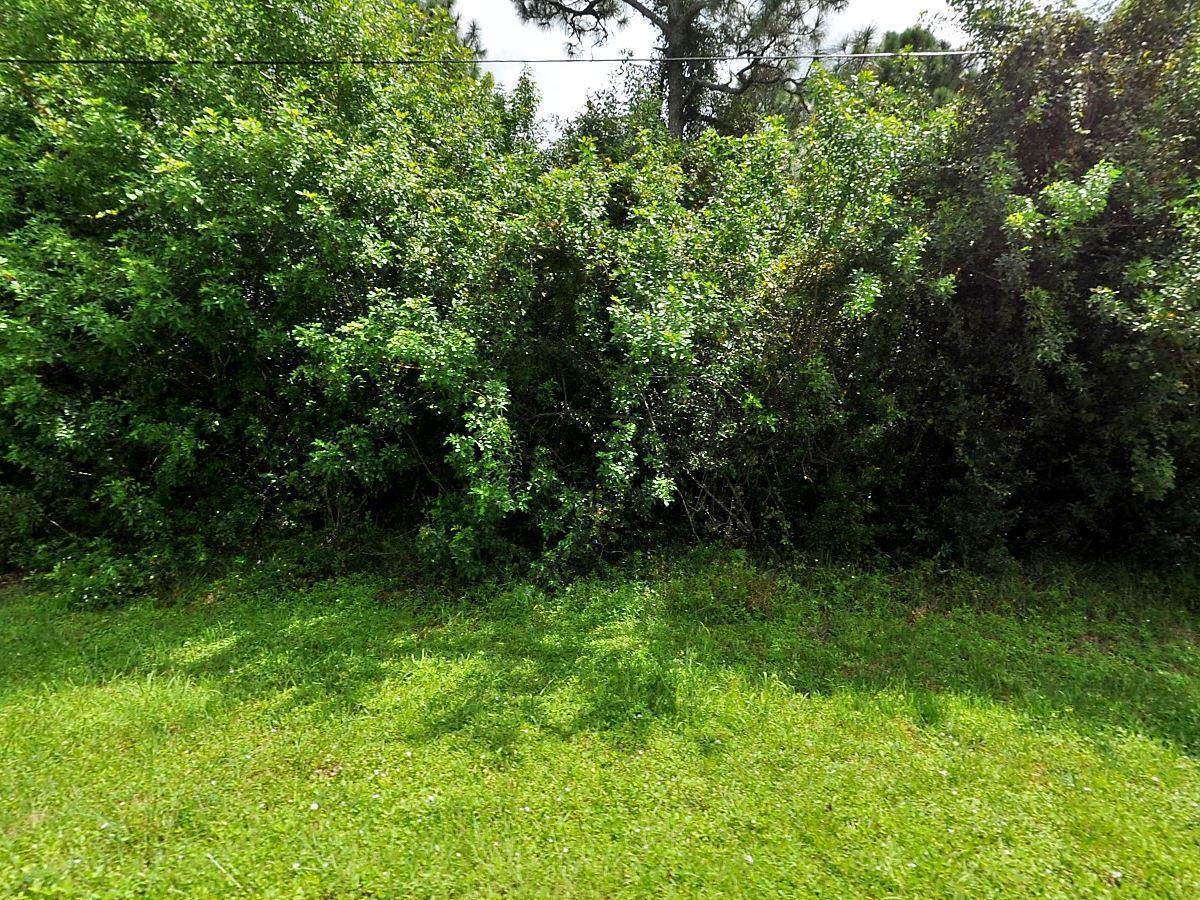 4281 Kazan Street - Photo 1
