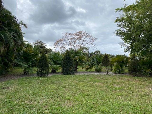 17534 Scarsdale Way - Photo 1