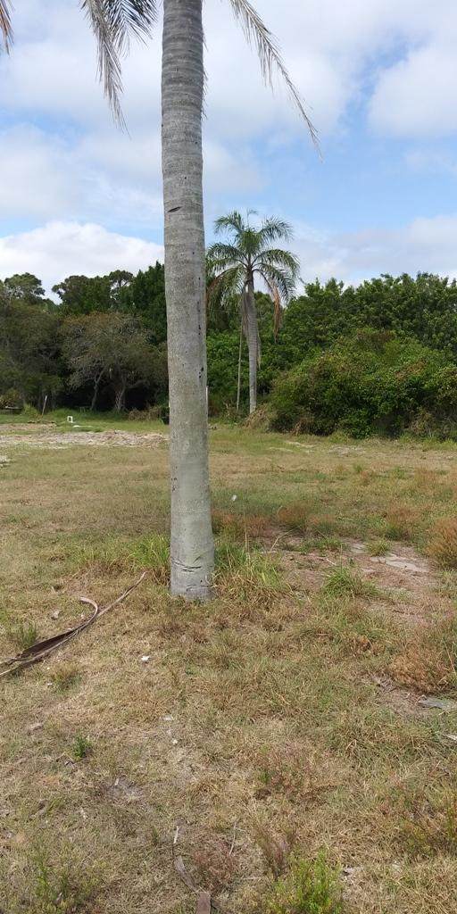 4260 Savannah Road - Photo 1