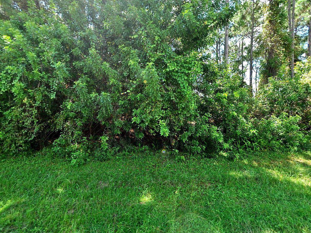 1810 Starman Avenue - Photo 1