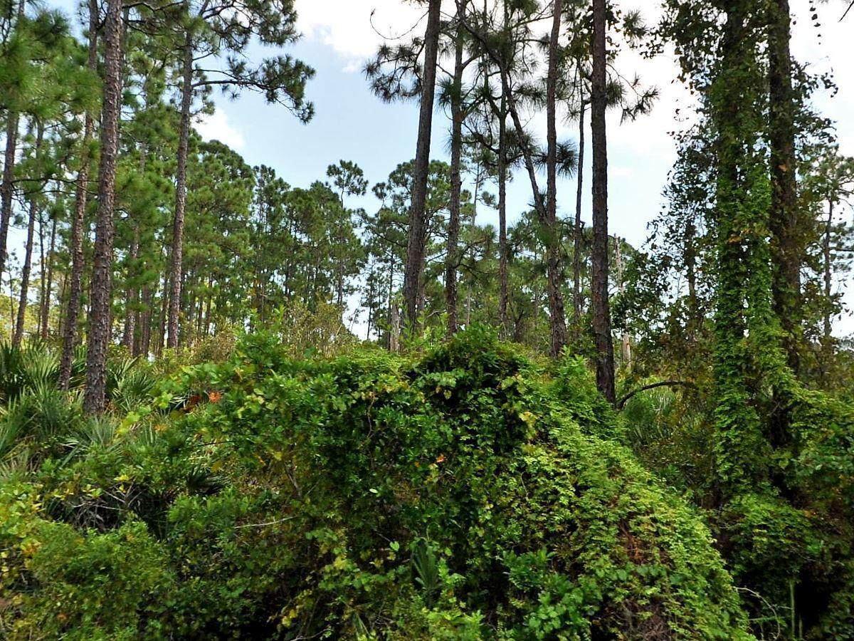 0 Southwind Trail - Photo 1