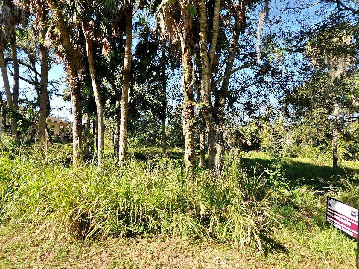 0 Wilderness Drive - Photo 1