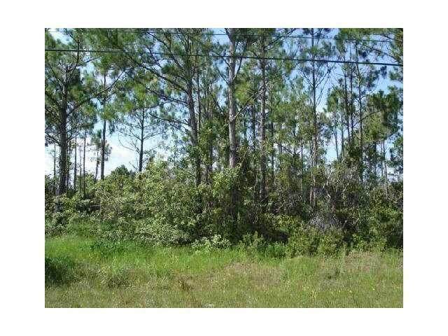 1560 Falmouth Avenue - Photo 1
