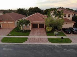 10513 Galleria Street - Photo 1