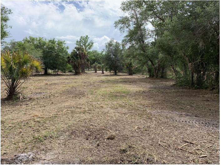 17481 274th Street - Photo 1