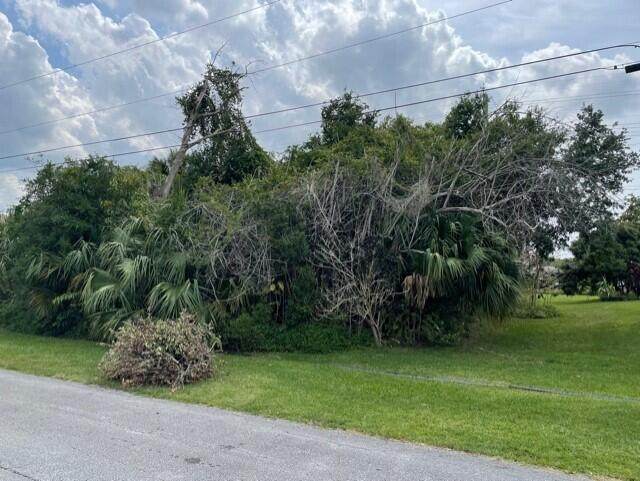 2044 Driftwood Street - Photo 1