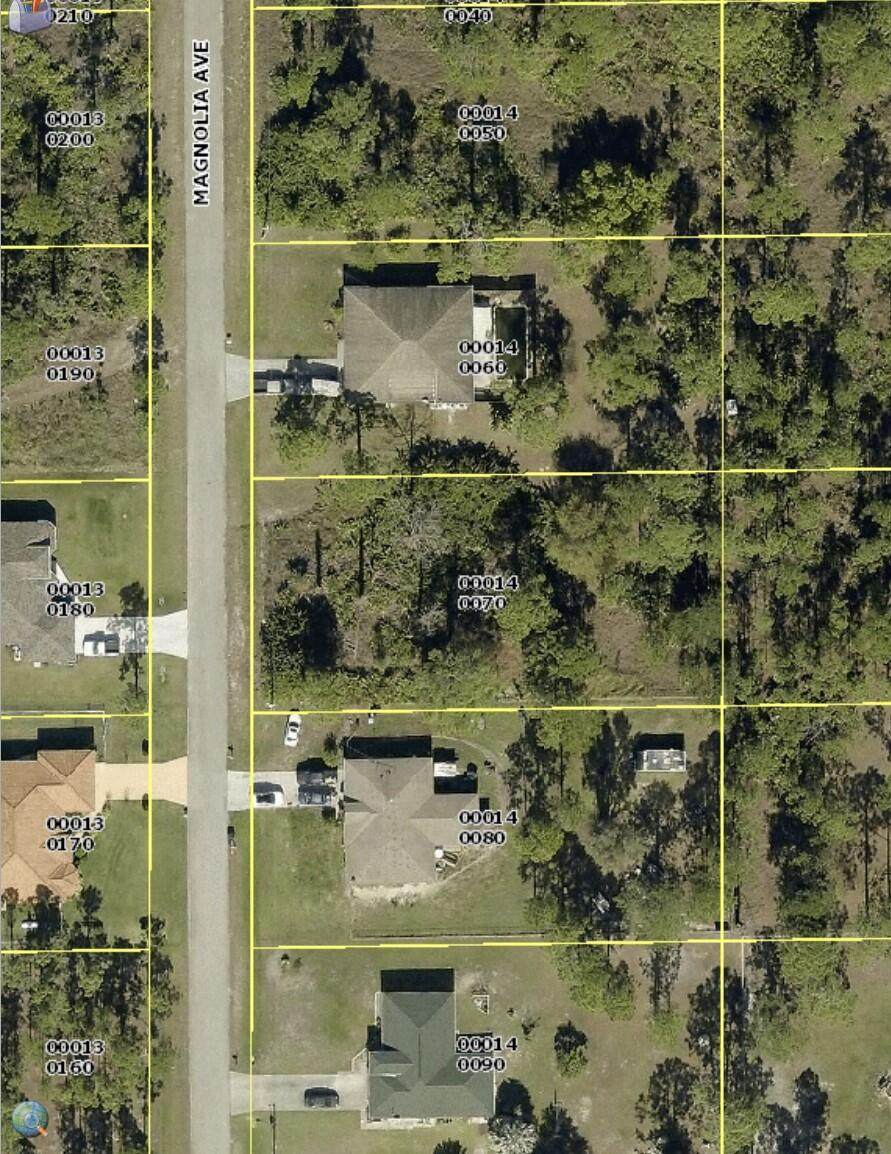 910 Magnolia Avenue - Photo 1