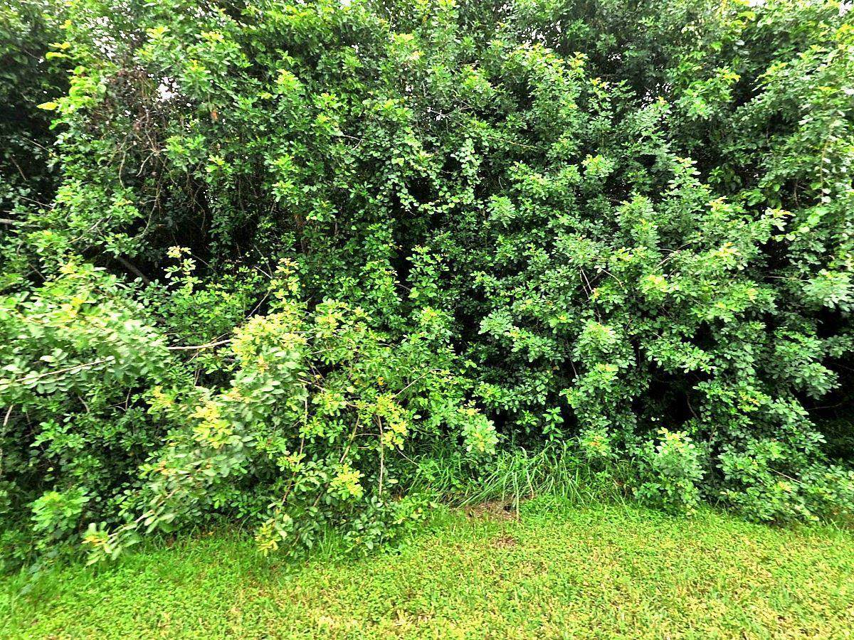 0 Kenilworth Sw Street - Photo 1