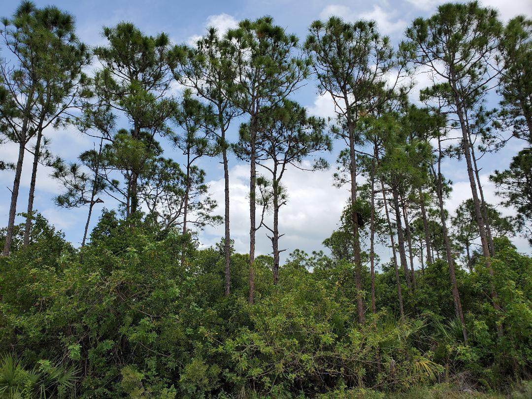 510000 Southwind Trail - Photo 1