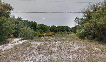 853 Larkspur Street - Photo 1