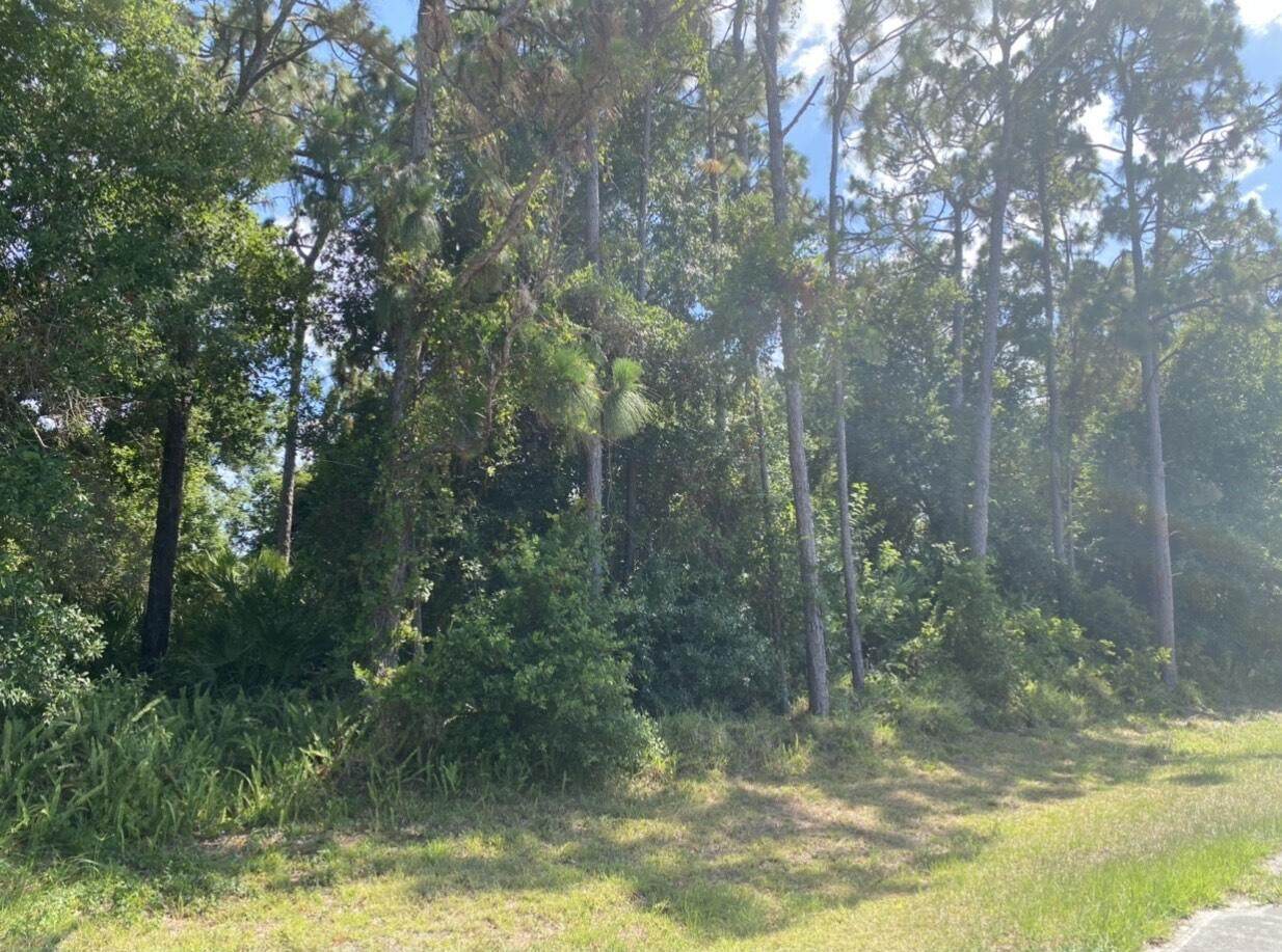 3660 Jupiter Boulevard - Photo 1