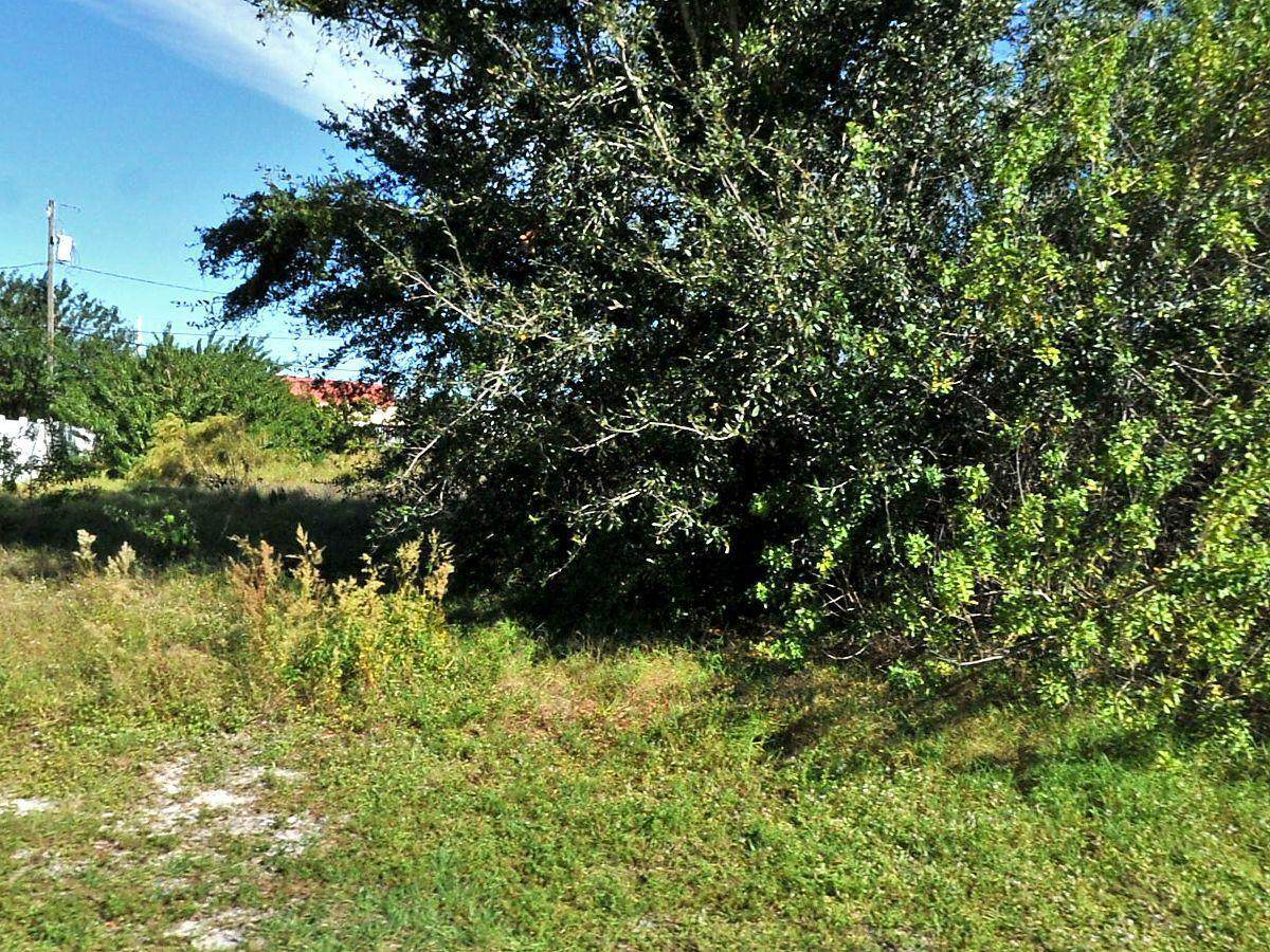 581 Halden Avenue - Photo 1