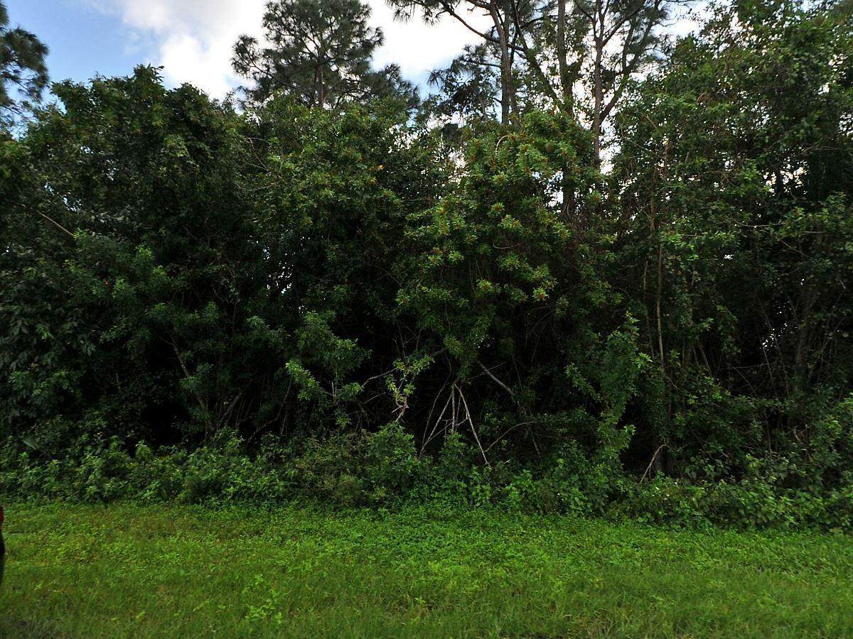 5 Mantilla Avenue - Photo 1