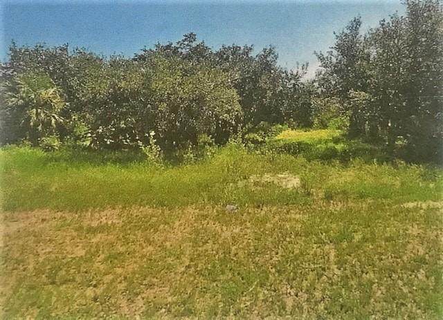 0 Village Palm Lane - Photo 1