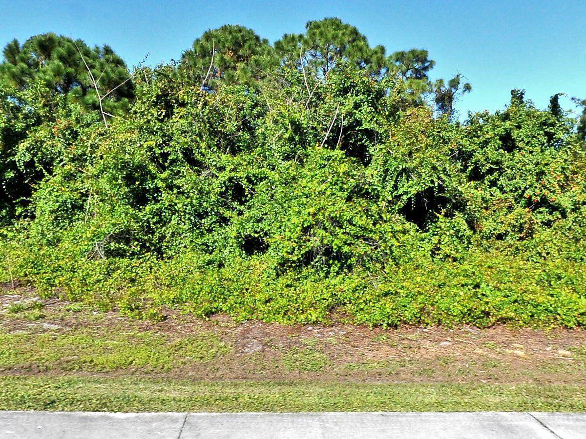 1317 Becker Road - Photo 1
