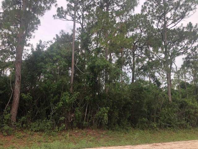 0000 42nd Road - Photo 1