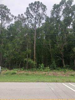 0000 Citrus Grove Blvd - Photo 1