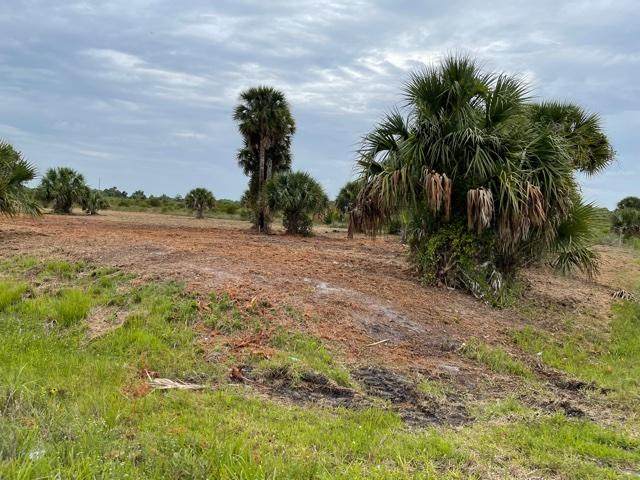 14412 280th Street - Photo 1
