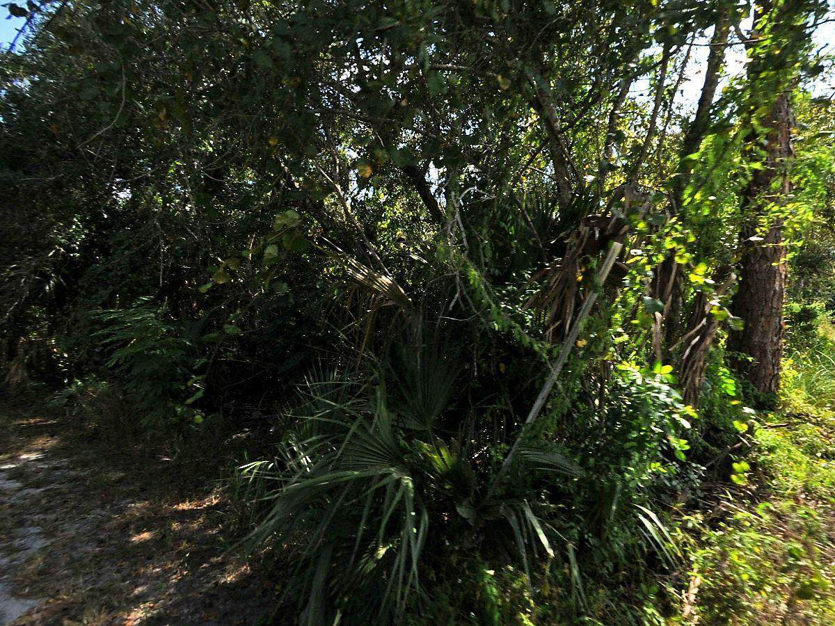 0 Gopher Ridge Road - Photo 1