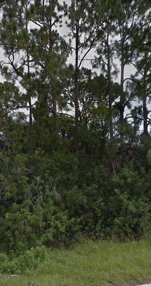 833 Americana Boulevard - Photo 1
