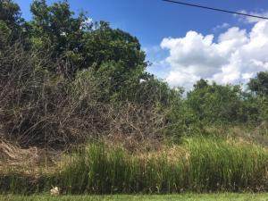 1333 Sw Becker Rd Road - Photo 1
