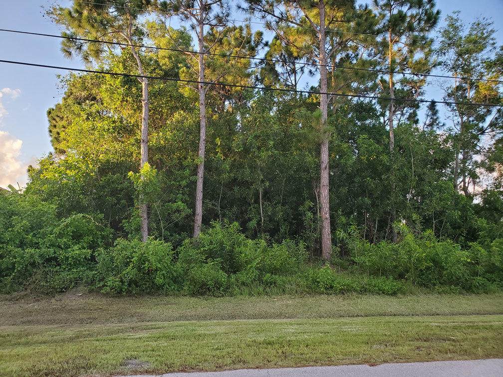 6113 Deville Circle - Photo 1