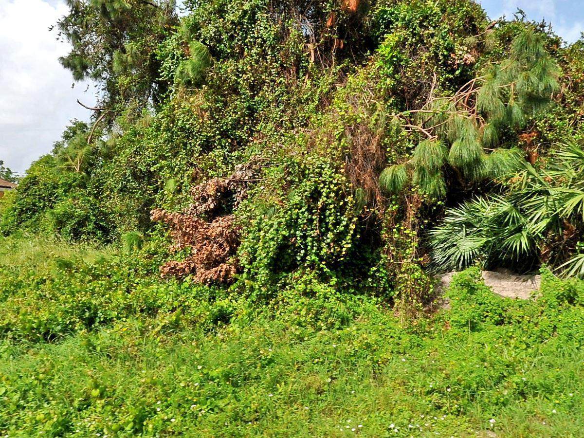737 Andrew Road - Photo 1