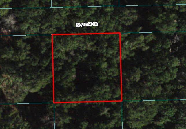 009 123rd Lane - Photo 1