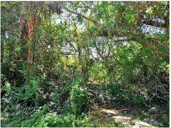 Xxxx Edwin Avenue - Photo 1