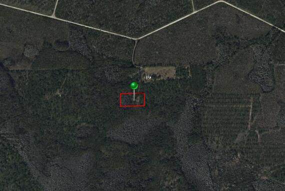 Xxxx Long Leaf Drive, County 32174 - Photo 1