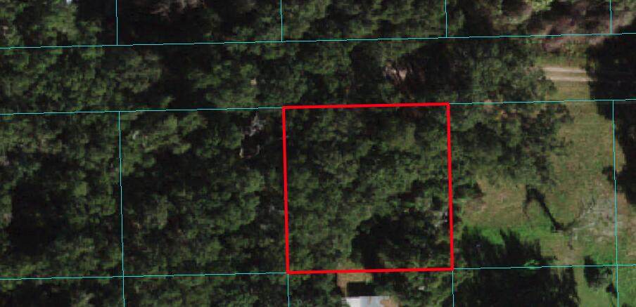 005 123rd Lane - Photo 1