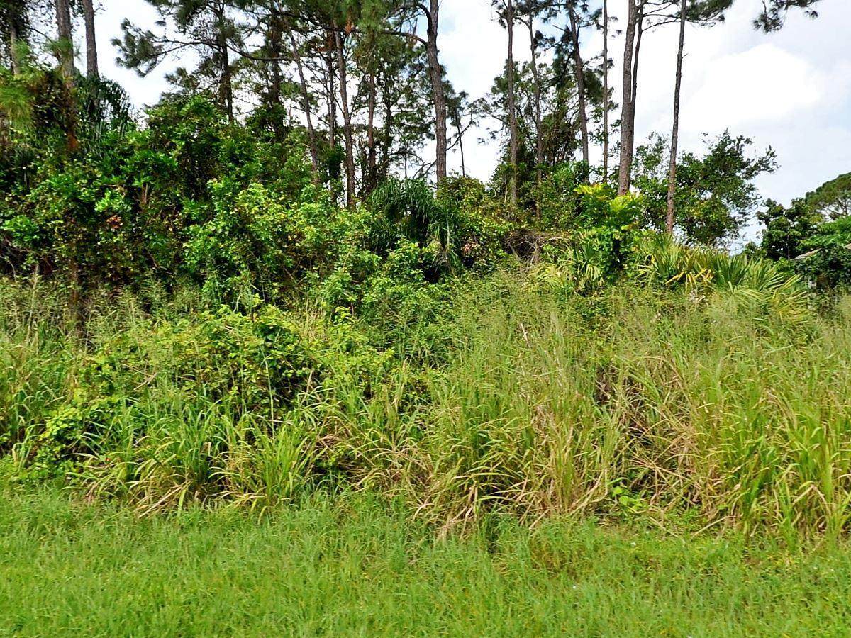457 Guava Terrace - Photo 1