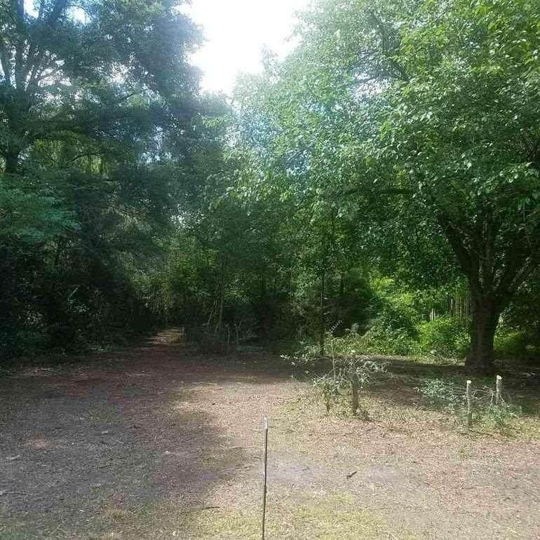 5170 Wood Creek Road - Photo 1