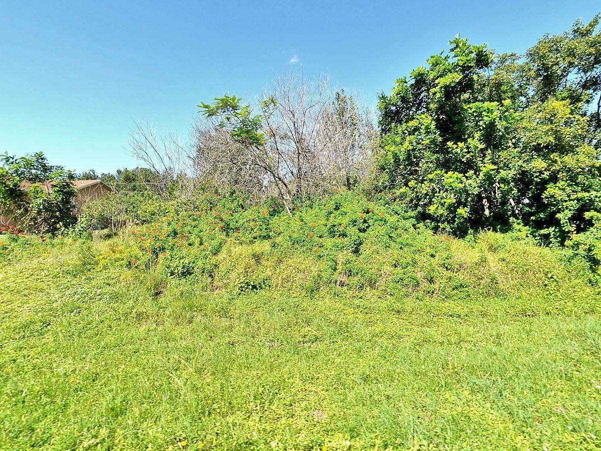1029 Canary Terrace - Photo 1
