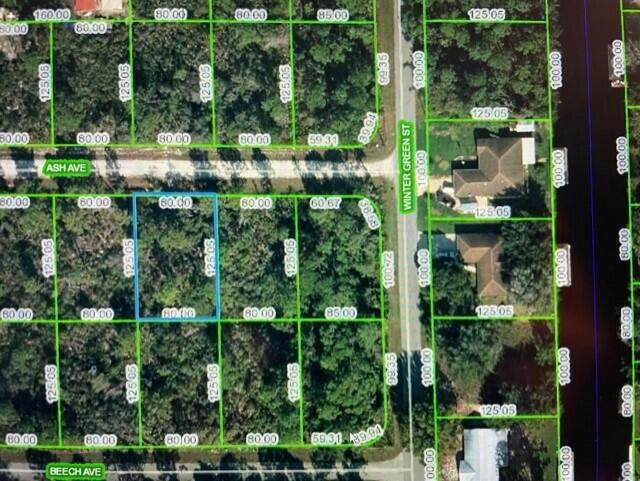 3008 Ash Avenue - Photo 1