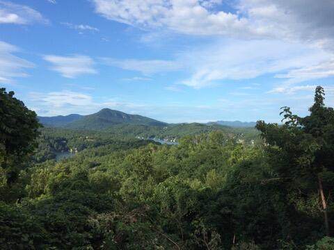 0 Clear Creek Trail - Photo 1