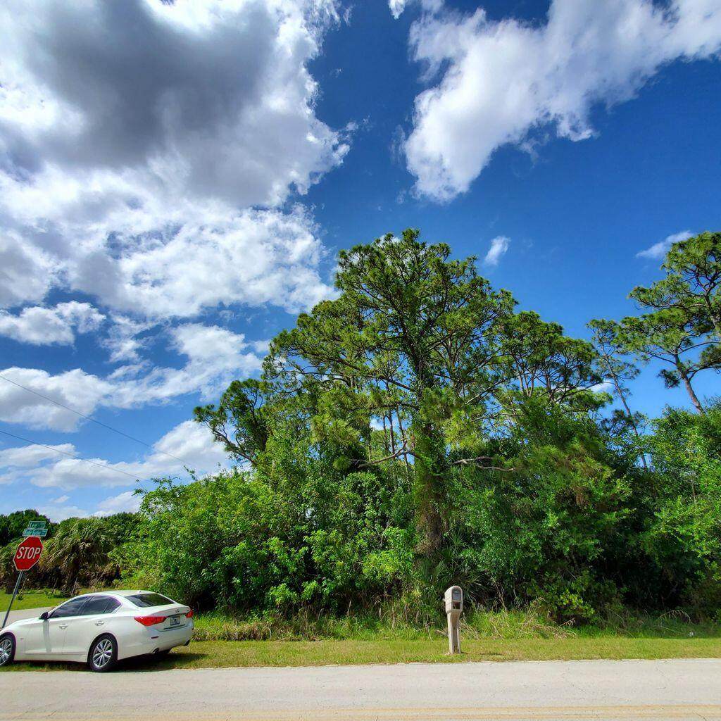 8408 Winter Garden Parkway - Photo 1