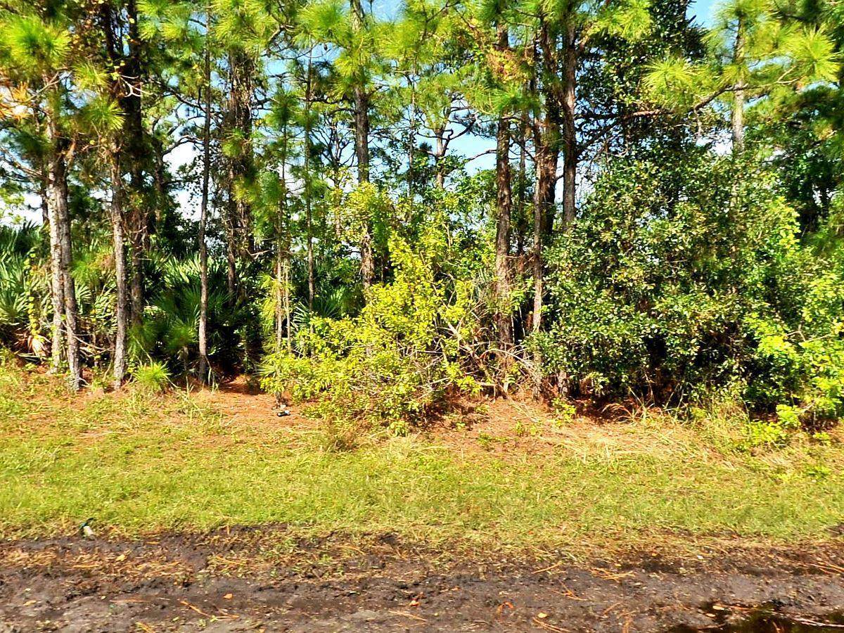 2481 Melaleuca Boulevard - Photo 1