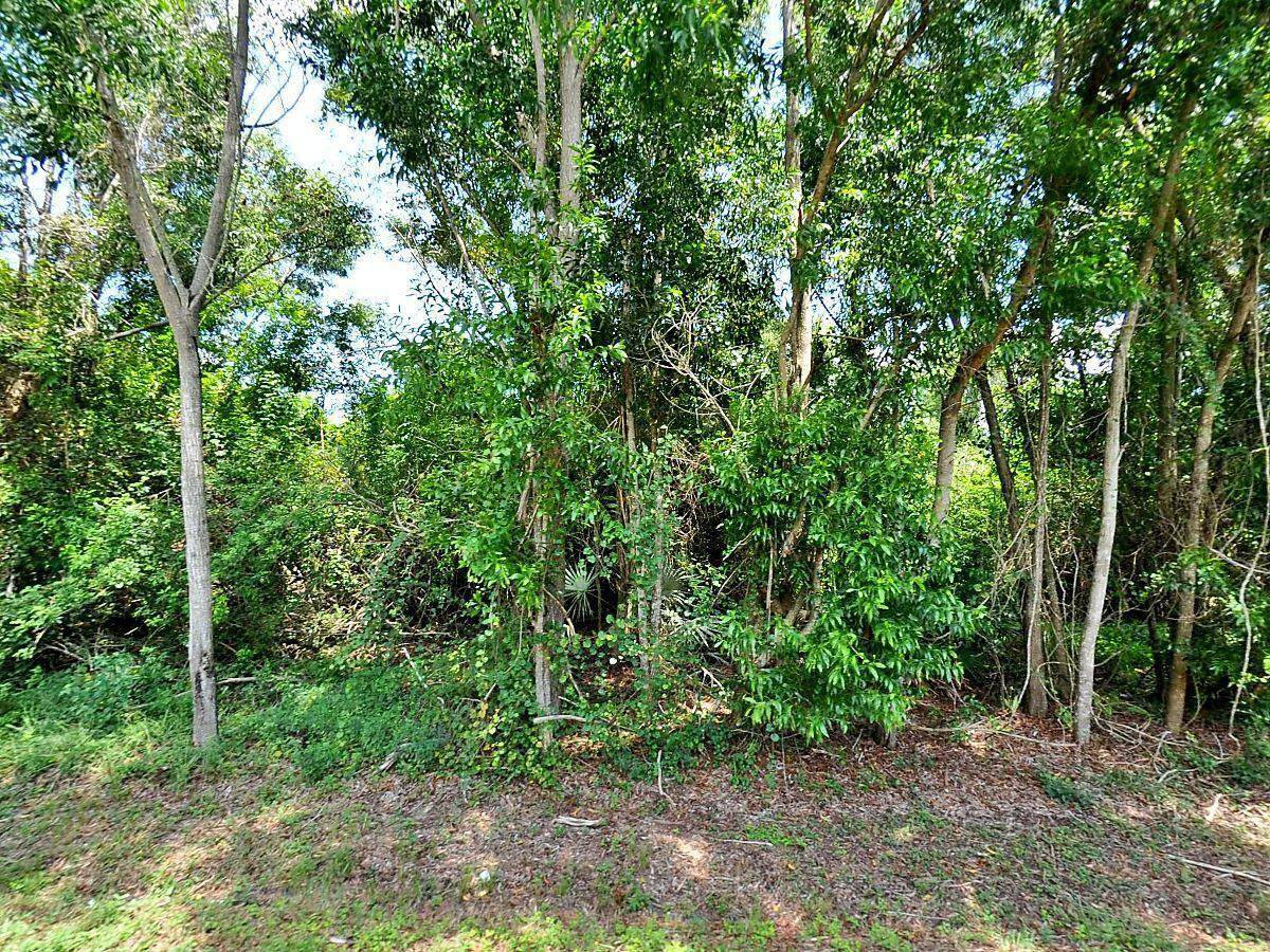 175 Amesbury Avenue - Photo 1