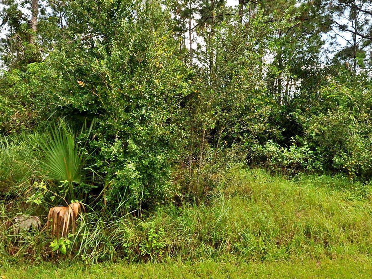 1581 Hibiscus Street - Photo 1