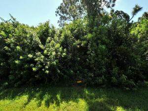 2901 Tena Avenue - Photo 1