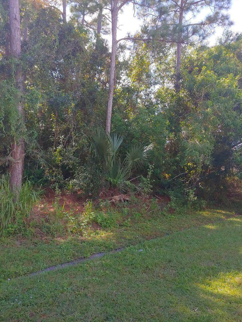 2226 Master Avenue - Photo 1