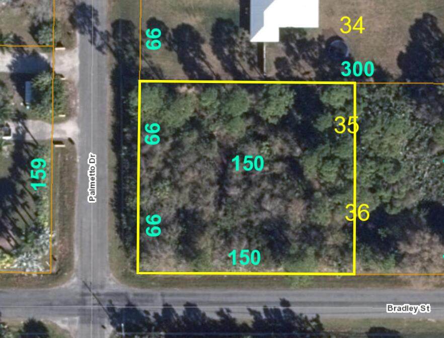 5014 Palmetto Drive - Photo 1
