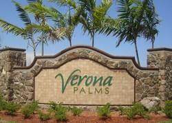 4103 Windmill Palm Way - Photo 1