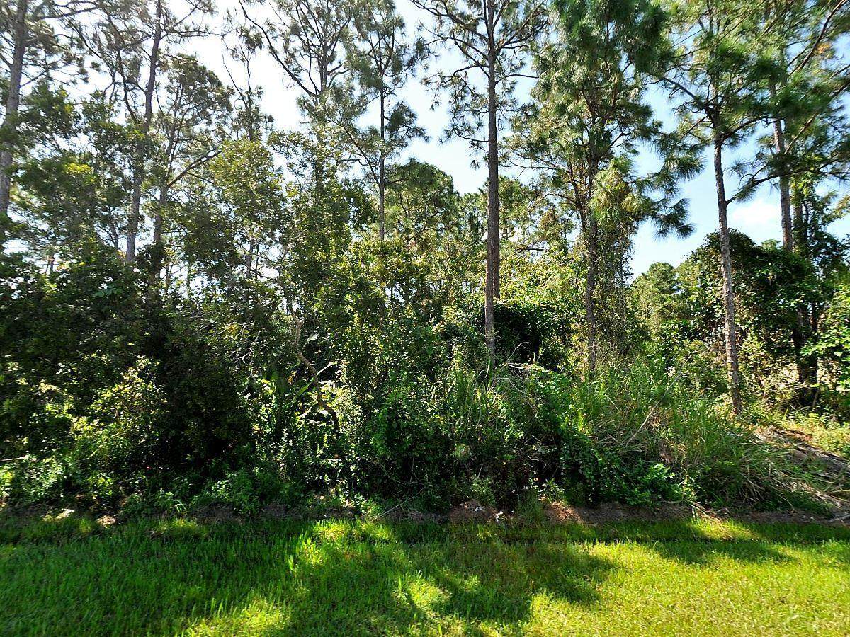 452 Prado Avenue - Photo 1