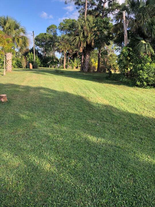 781 Lanfair Street - Photo 1