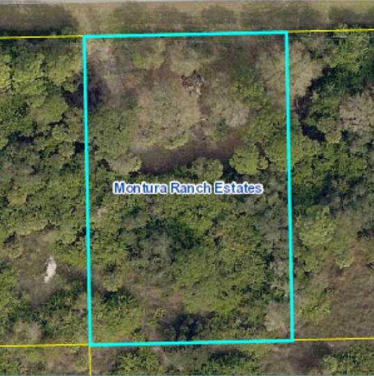 236 Pine Cone Avenue - Photo 1