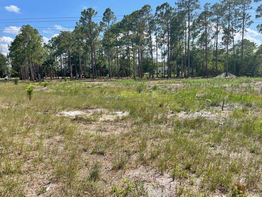 14045 Orange Boulevard - Photo 1